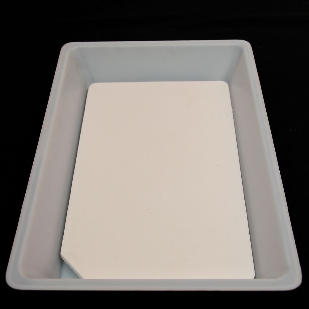 Cuvette à Dissection