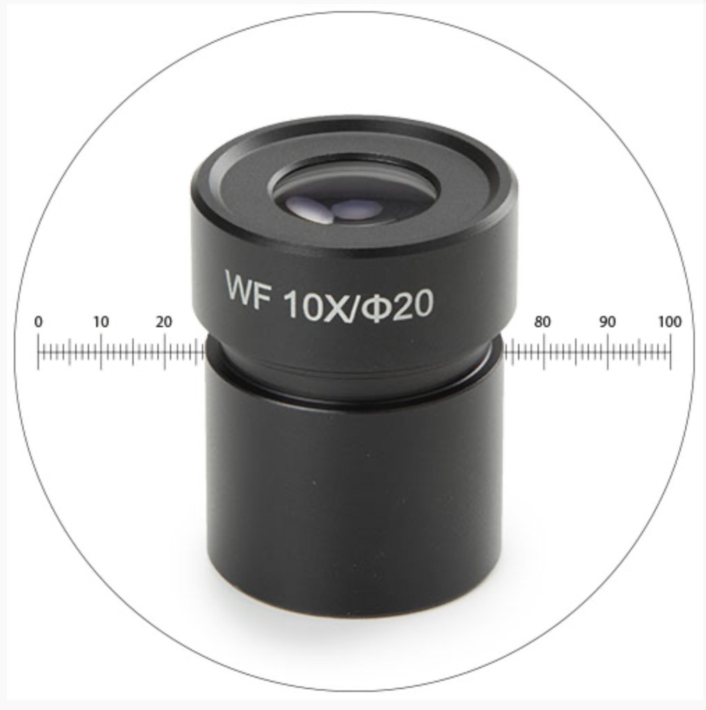 [3381 - NOVEX 50.811] Oculaire avec Echelle Micrométrique pour Loupes AP et P series EUROMEX ED.6110