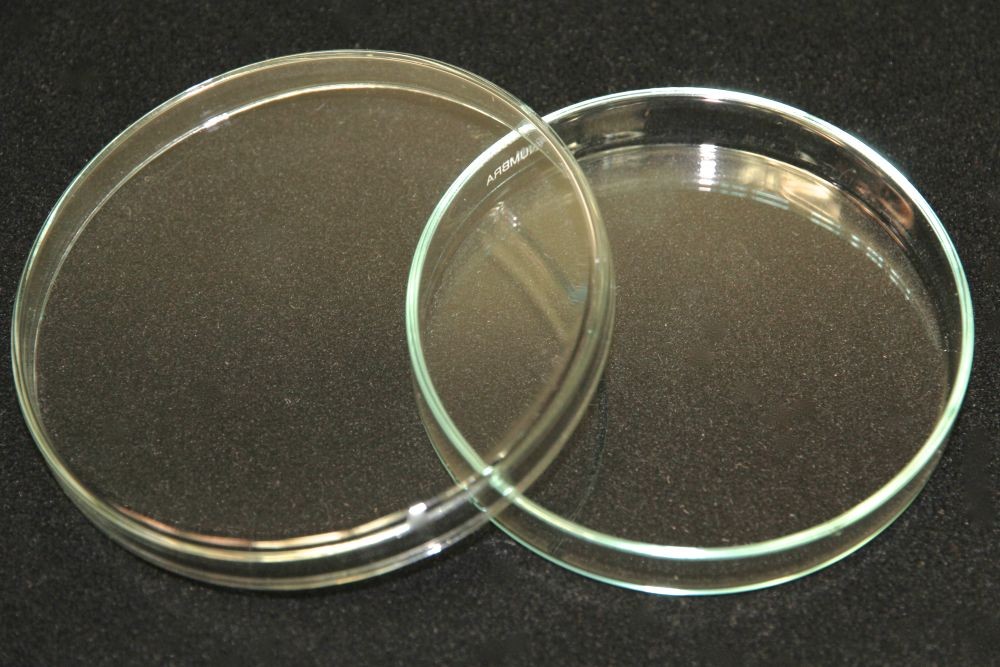 Boîte de Petri Verre ( x1 )