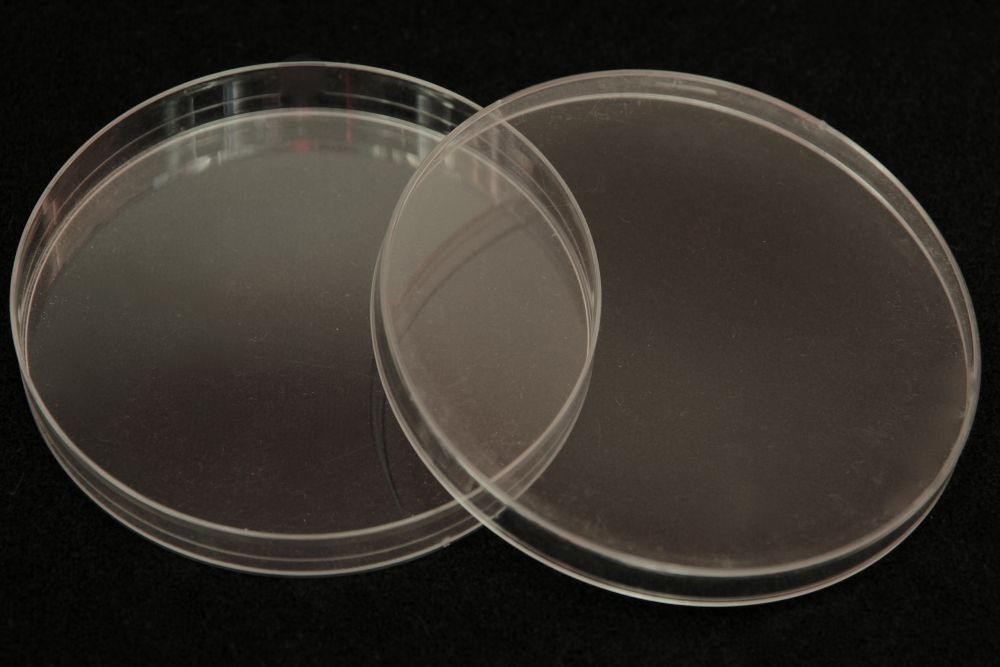 Boîtes de Petri Polystyrène ( x10 )