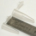 Microtubes PP ( x50 )