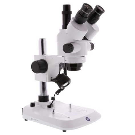 Loupe Trinoculaire à Zoom EUROMEX StereoBlue EVO