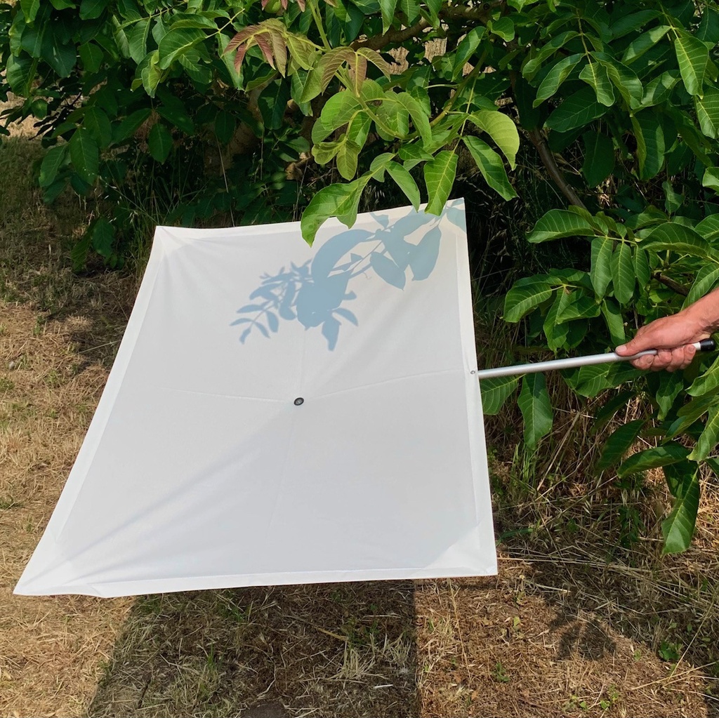 [2203] Parapluie Japonais (90 x 65 cm)