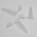 Microtubes PP ( x50 )