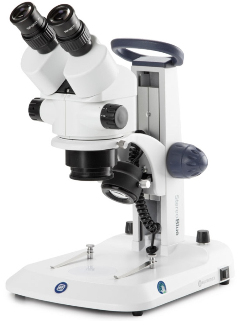 Loupe Binoculaire à Zoom EUROMEX StereoBlue