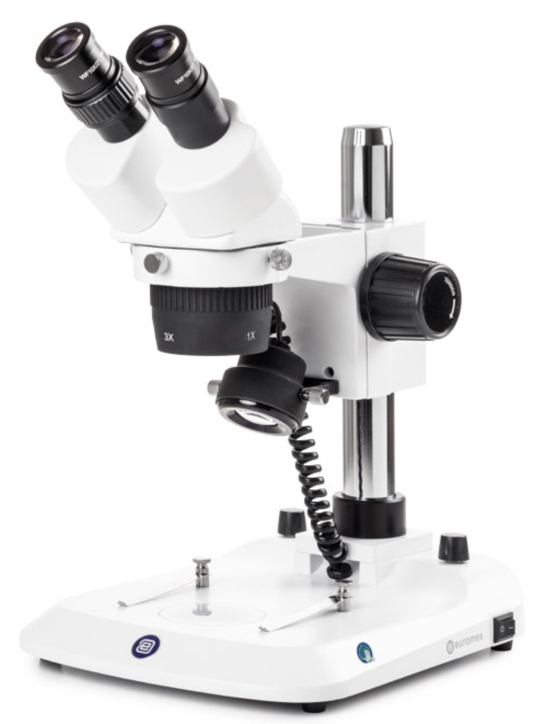 [2851 - EUROMEX SB.1302-P] Loupe Binoculaire à Tourelle EUROMEX StereoBlue Statif à Colonne (10x et 30x)