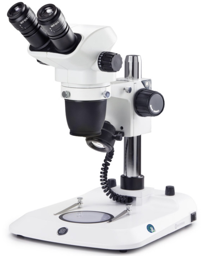 [2961 - EUROMEX NZ.1702-P] Loupe Binoculaire à Zoom EUROMEX NexiusZoom EVO (colonne)