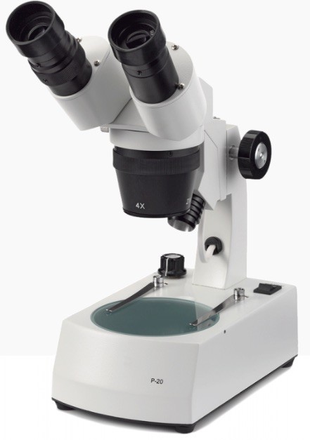 Loupe Binoculaire-20x-40x - NOVEX P-20