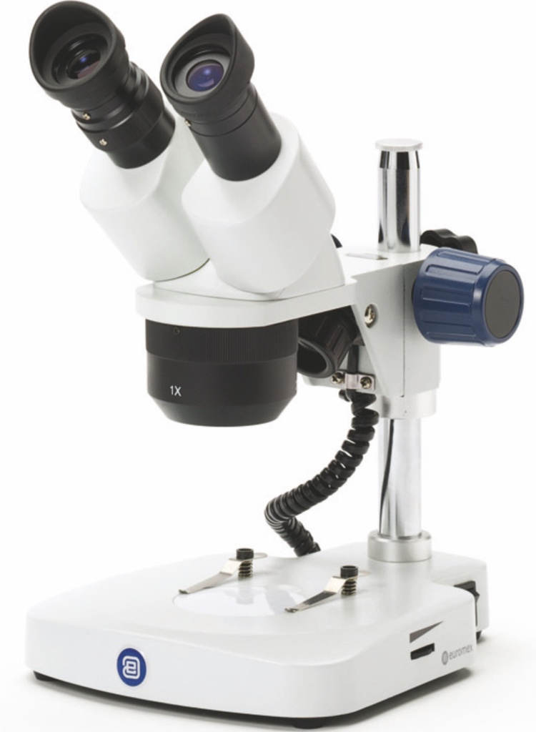 Loupe Binoculaire à Tourelle EUROMEX EduBlue Statif à Colonne