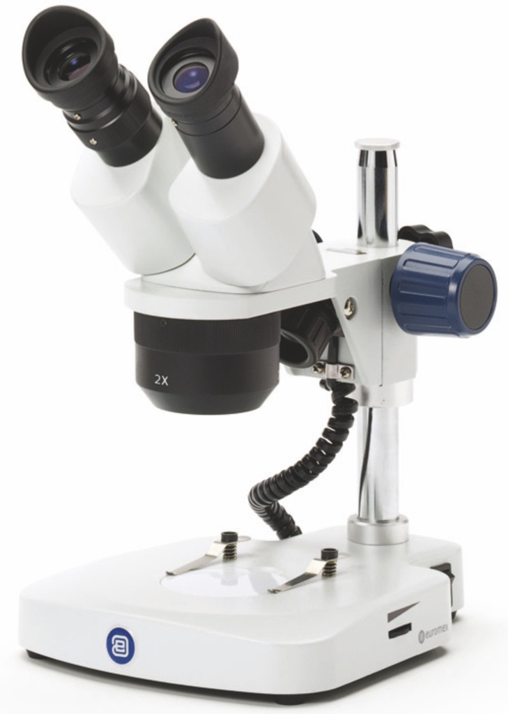 Loupe Binoculaire à Tourelle EUROMEX EduBlue Statif à Colonne