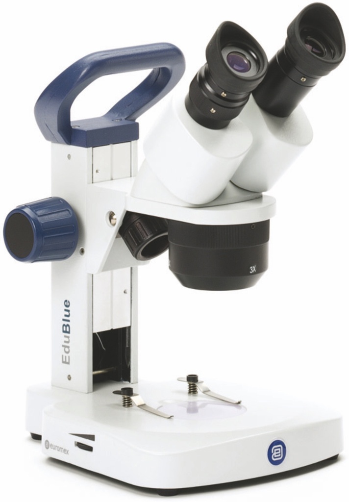 Loupe Binoculaire à Tourelle EUROMEX EduBlue Statif à Crémaillère