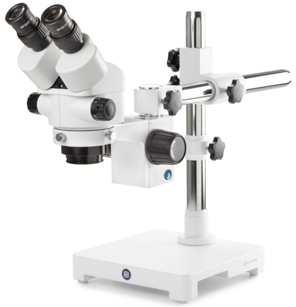Loupe Binoculaire à Zoom EUROMEX StereoBlue EVO