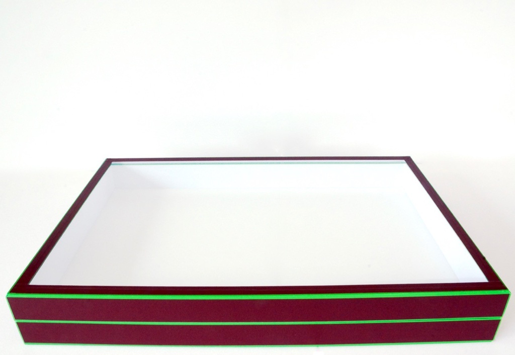 [2046] Boîte à Insectes "Muséum" avec Charnière (19.5 x 26cm)