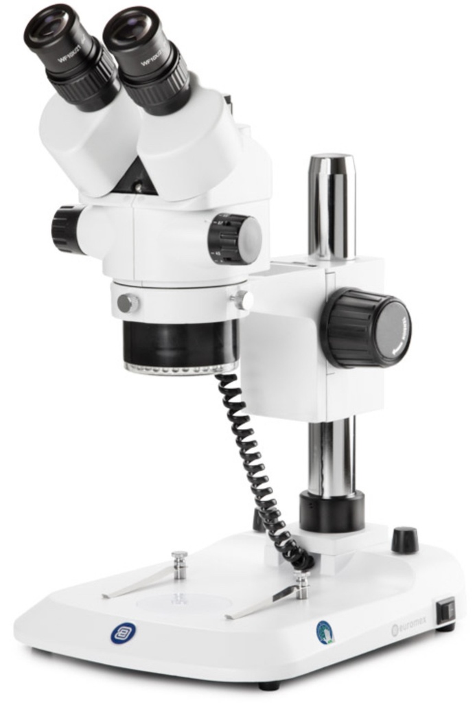 [2956 - EUROMEX SB.3903-P] Trinoculaire à Zoom EUROMEX StereoBlue avec Eclairage Annulaire (colonne)