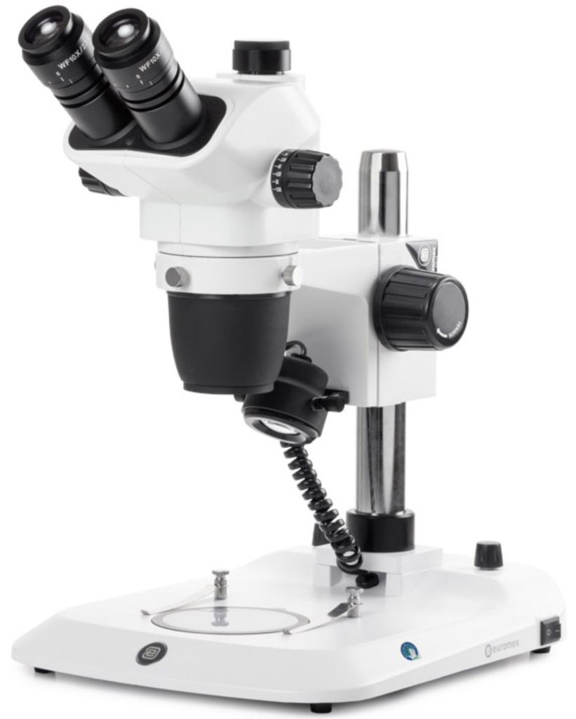 [2977 - EUROMEX NZ.1703-P] Loupe Trinoculaire à Zoom EUROMEX NexiusZoom EVO (colonne)