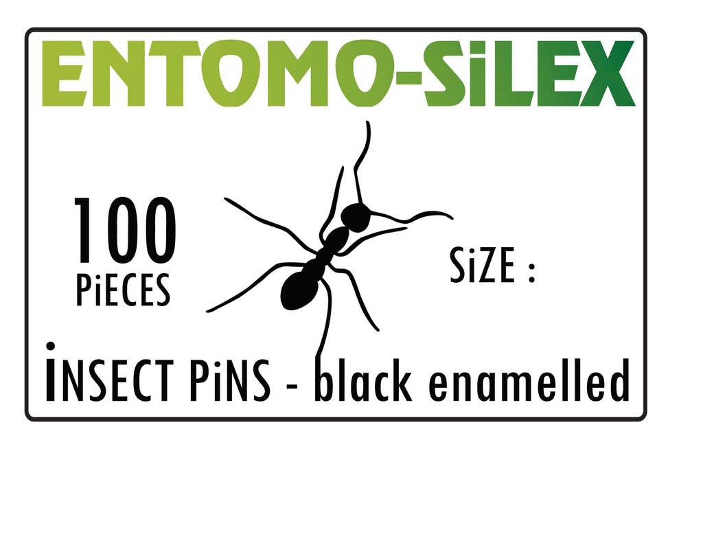 [1450] Epingles à Insectes SILEX Vernies Noires ( x100 ) (N°000 38 x 0.25 mm)