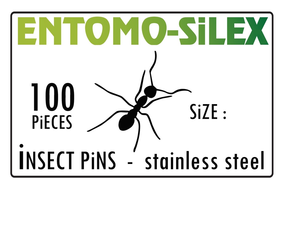 [1470] Epingles à Insectes SILEX Inox ( x100 ) (N°000 38 x 0.25 mm)