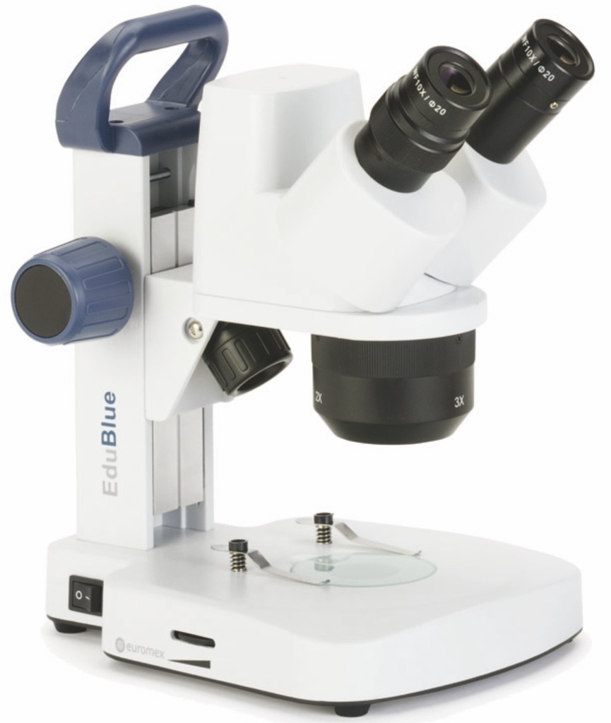Loupe Binoculaire à Tourelle EUROMEX EduBlue avec Caméra Intégrée