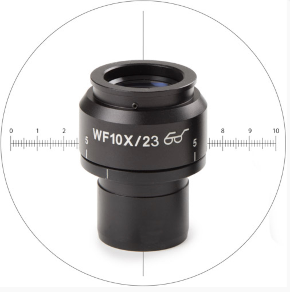 [3379 - EUROMEX NZ.6210-CM] Oculaire avec Echelle Micrométrique pour Loupes NexiusZoom EVO EUROMEX NZ.6210-CM