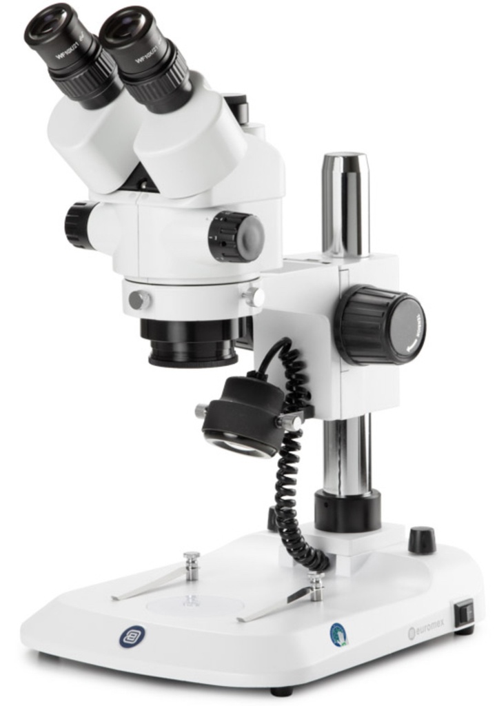 [2942 - EUROMEX SB.1703-P] Loupe Trinoculaire à Zoom EUROMEX StereoBlue EVO (colonne)