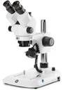 Loupe Trinoculaire à Zoom EUROMEX StereoBlue EVO