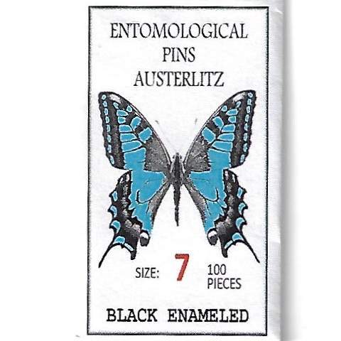 Epingles à Insectes AUSTERLITZ Vernies Noires ( x100 )