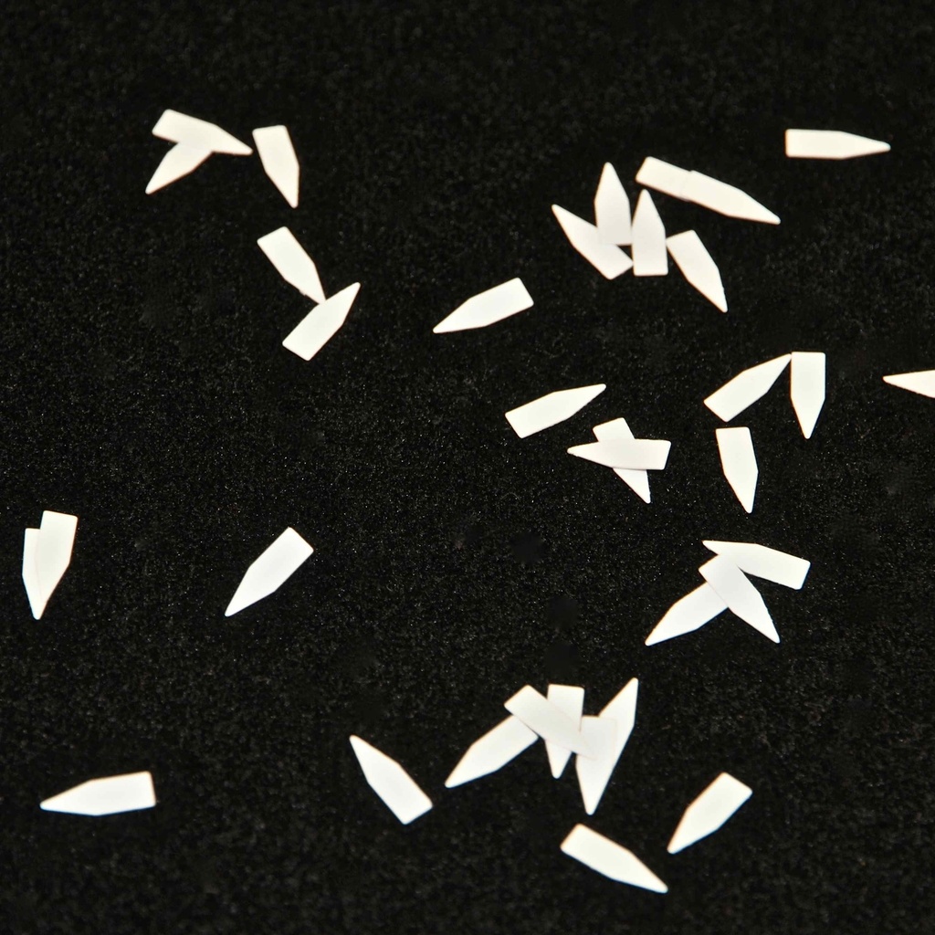 [1551] Paillettes Unies (Pointues 4 x11mm ( x500 ))