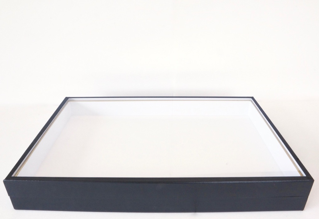 Boîte à Insectes "Collection" avec Charnière