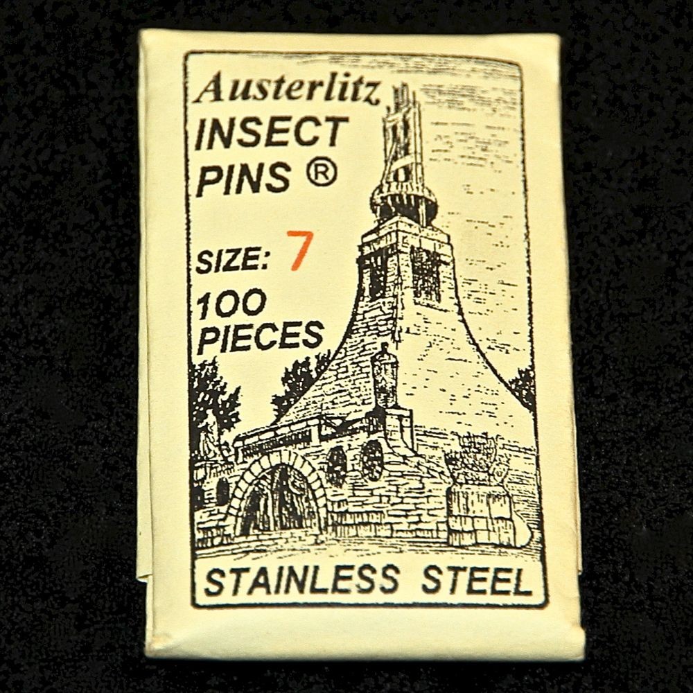 Epingles à Insectes AUSTERLITZ ® Inox ( x100 )