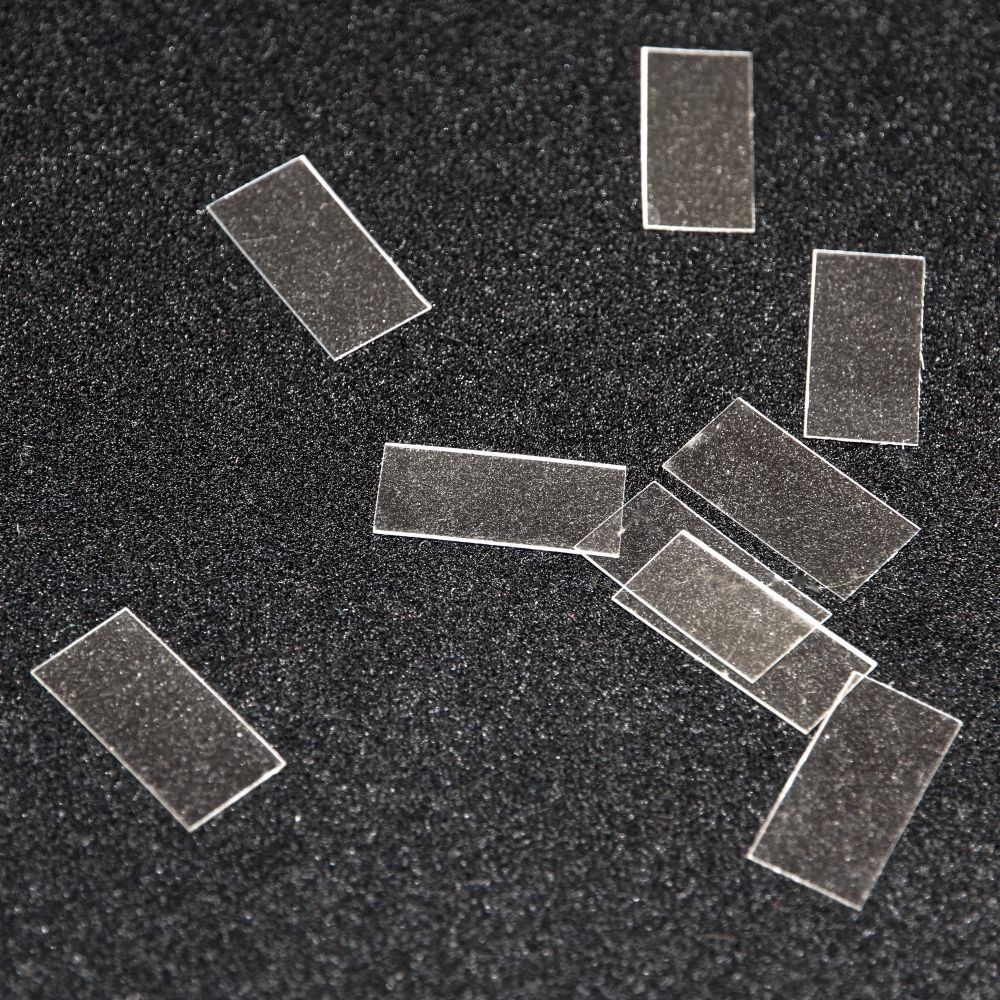 Paillettes Rhodoïd ( x100 )