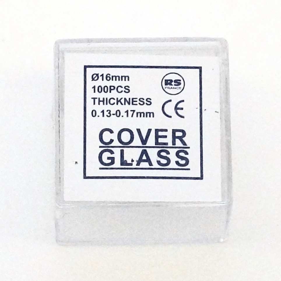 Lamelles Rondes ( x100 ) | Entomo Silex