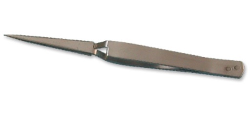 [810] Pince forme N°5 Négative