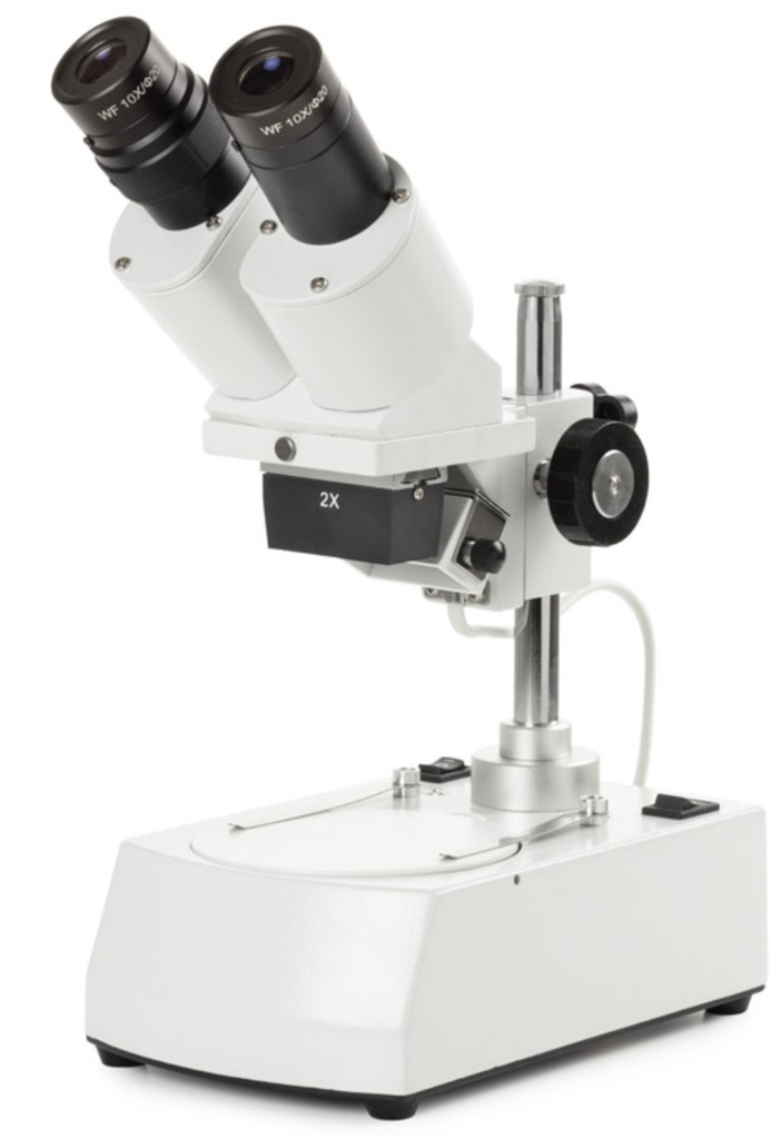 Loupe Binoculaire-20x - NOVEX AP-5 | Entomo Silex