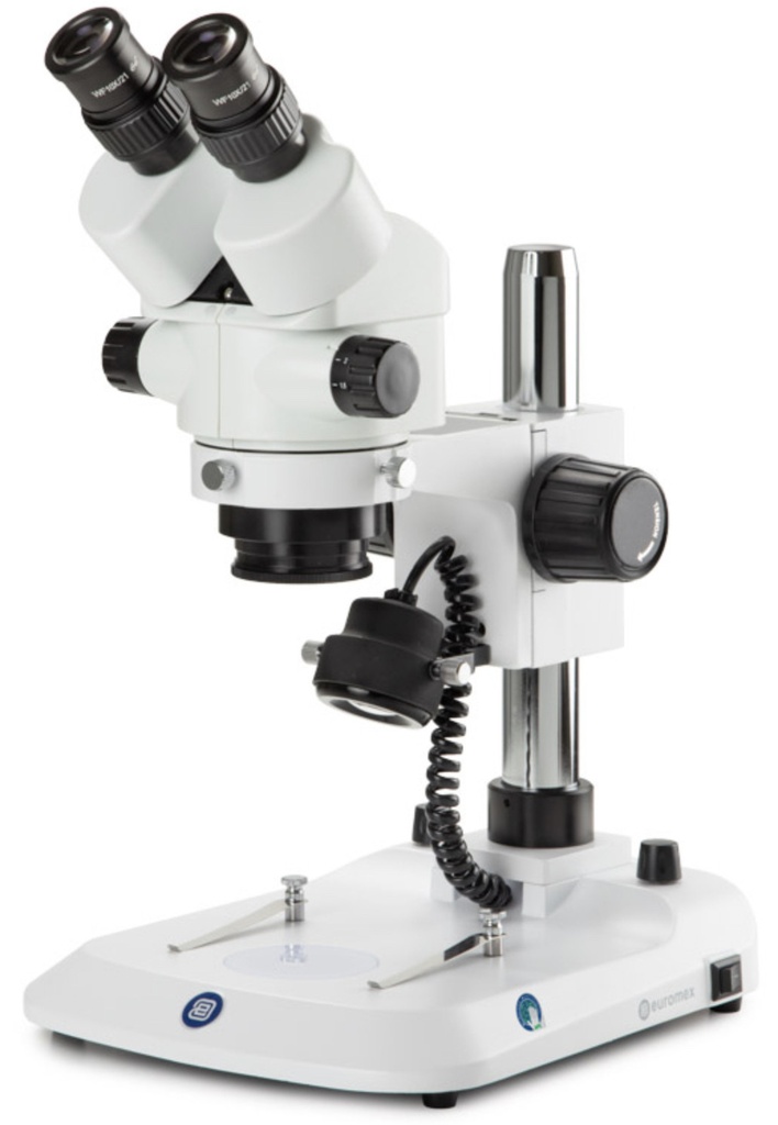 Loupe Binoculaire à Zoom EUROMEX StereoBlue EVO | Entomo Silex