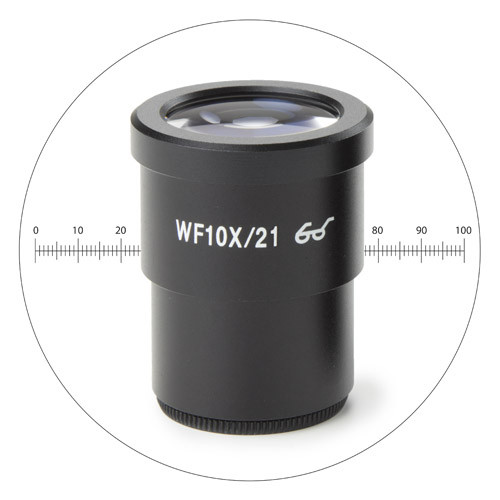 [3380 - EUROMEX SB.6210-M] Oculaire avec Echelle Micrométrique pour Loupes StereoBlue EUROMEX SB.6210-M