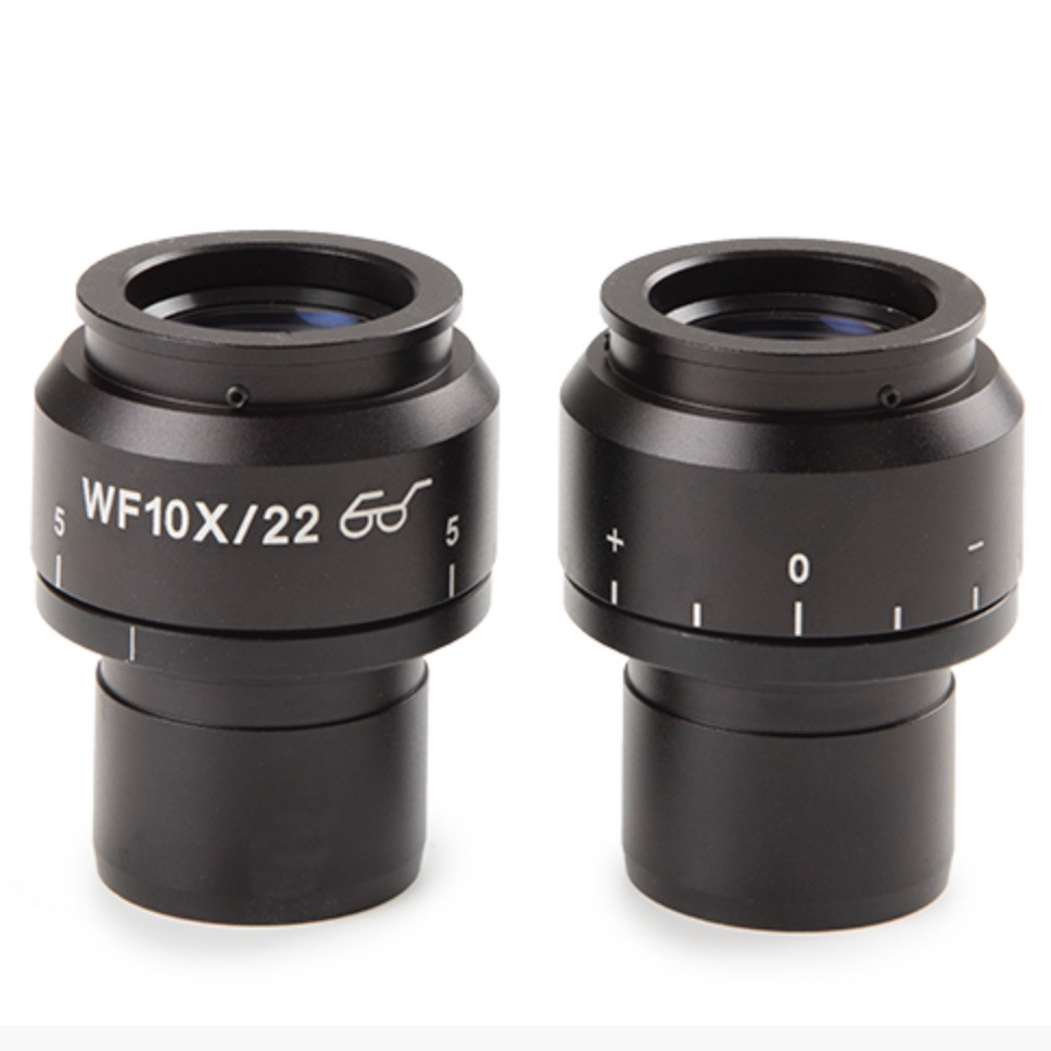 Paire d'Oculaires pour Loupes EUROMEX NexiusZoom | Entomo Silex