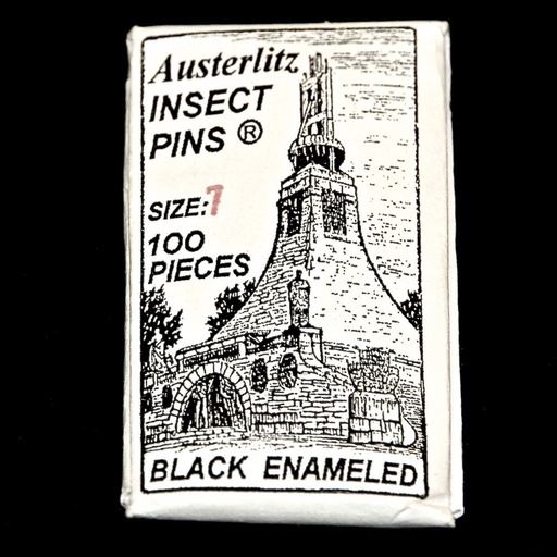 Epingles à Insectes AUSTERLITZ ® Vernies Noires ( x100 )