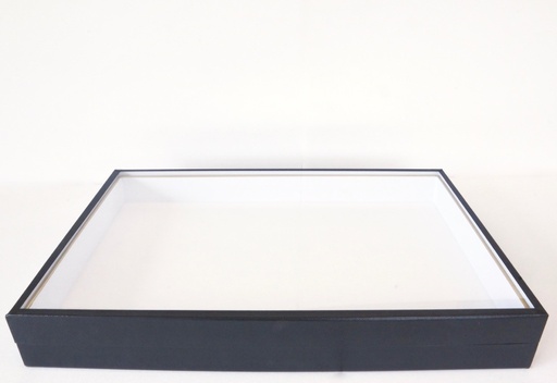 Boîte à Insectes "Collection" avec Charnière